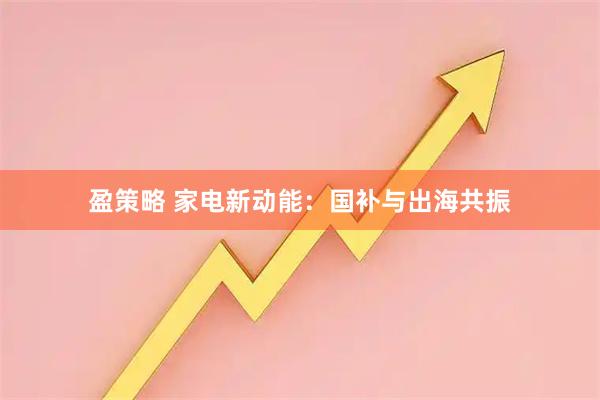 盈策略 家电新动能：国补与出海共振