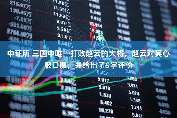 中证所 三国中唯一打败赵云的大将，赵云对其心服口服，并给出了9字评价