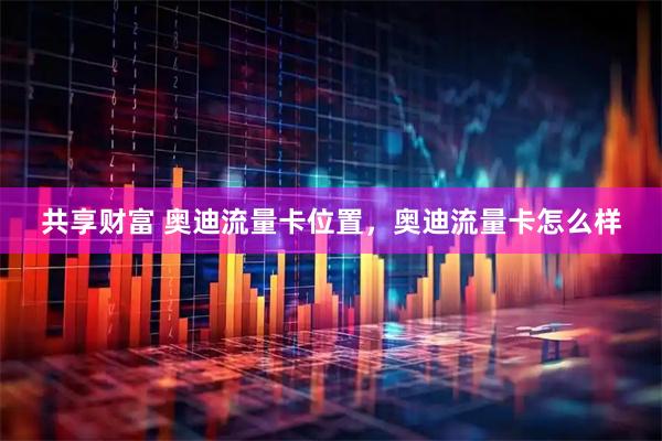 共享财富 奥迪流量卡位置，奥迪流量卡怎么样