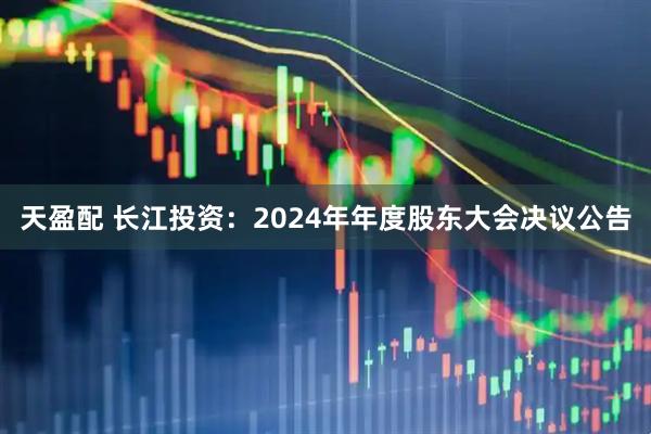 天盈配 长江投资：2024年年度股东大会决议公告
