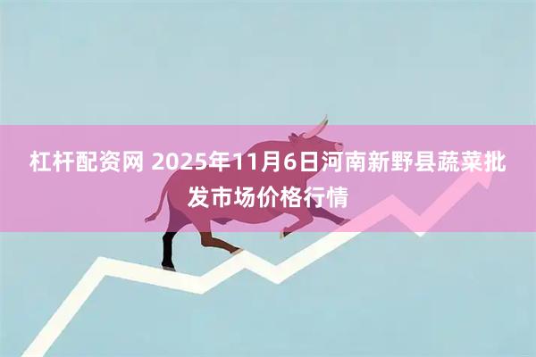 杠杆配资网 2025年11月6日河南新野县蔬菜批发市场价格行情