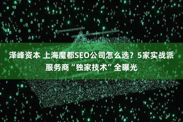 泽峰资本 上海魔都SEO公司怎么选？5家实战派服务商“独家技术”全曝光